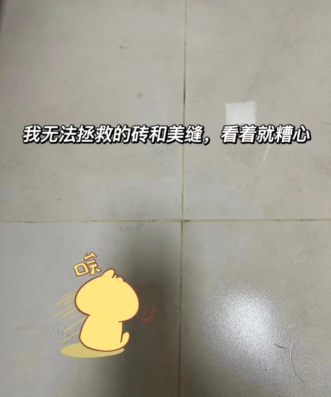 1697779982442082.jpg